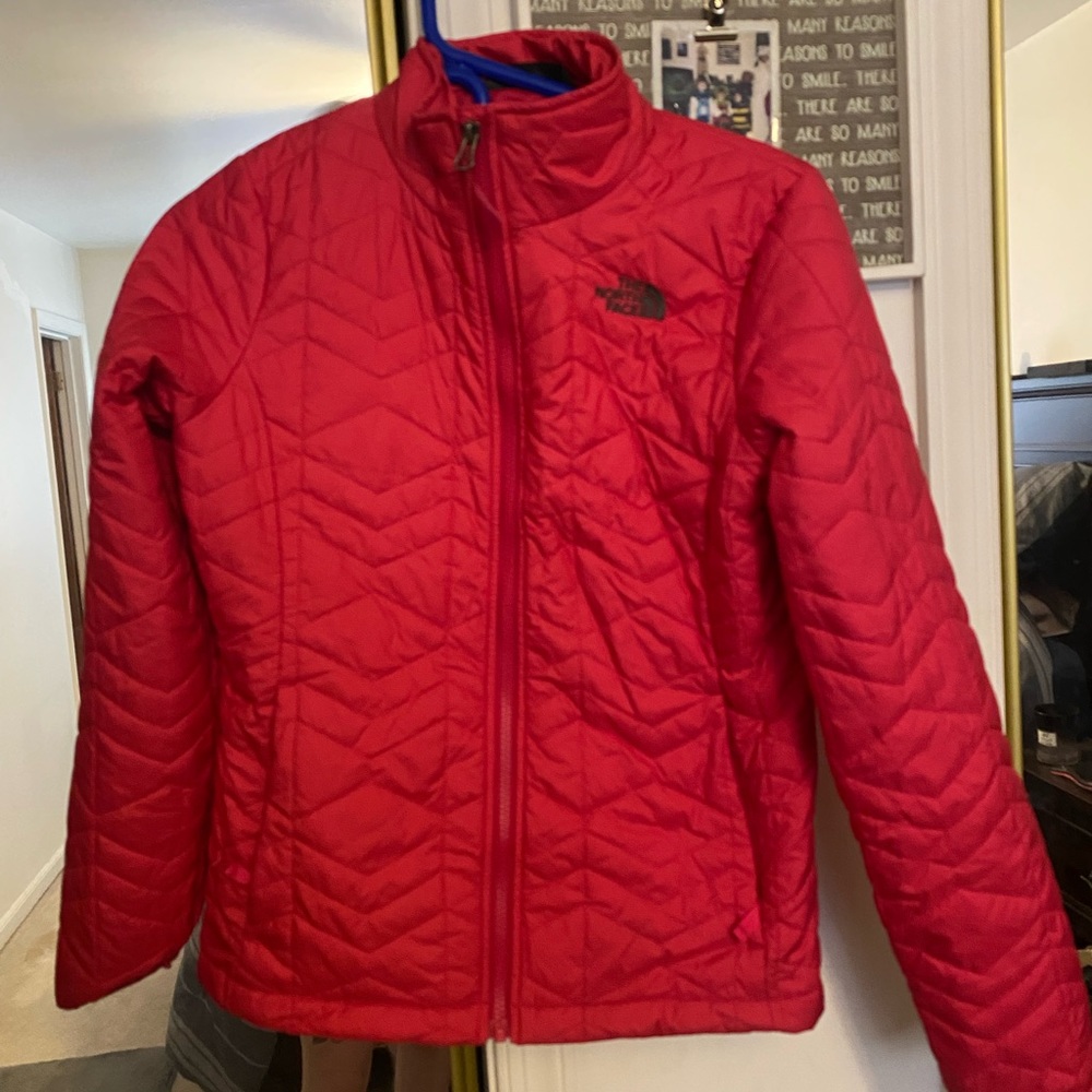 Pink north face winter jacket